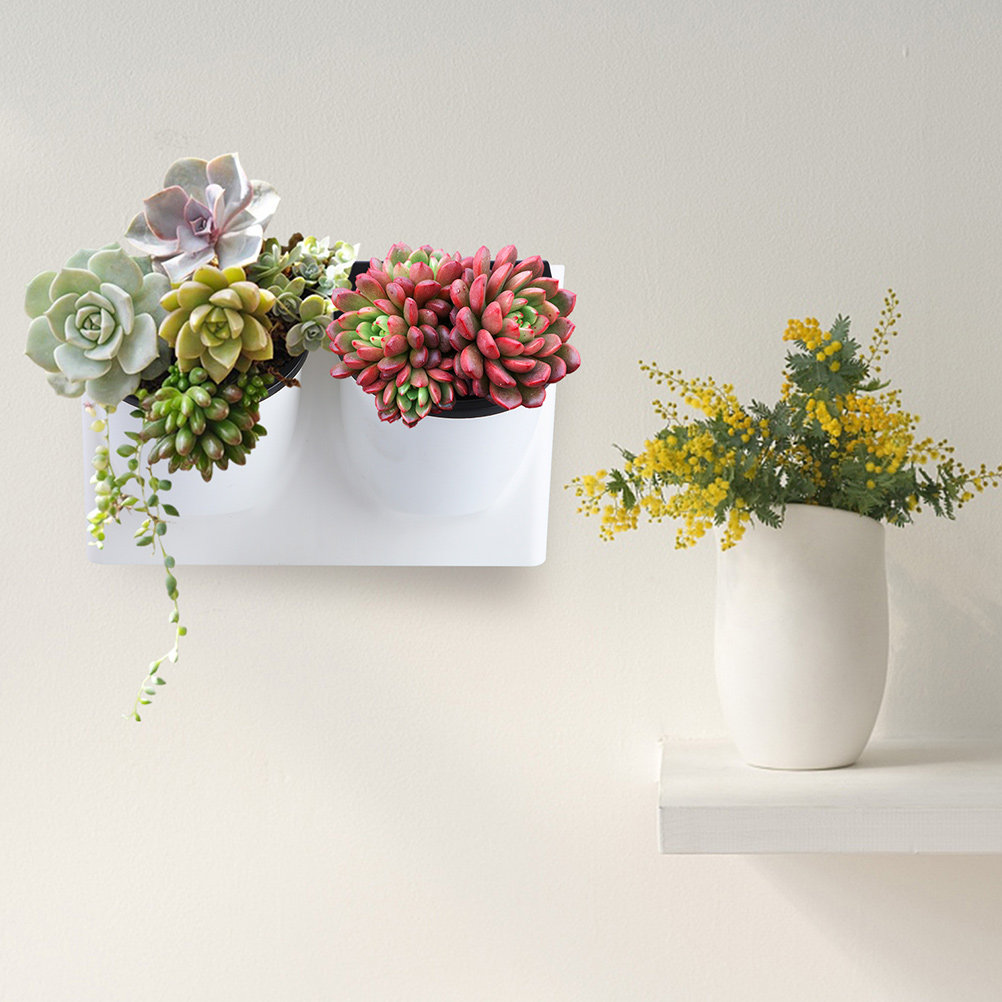 Self Watering Flower Pot Plast - đánh giá và giá Succulent Planter Pot