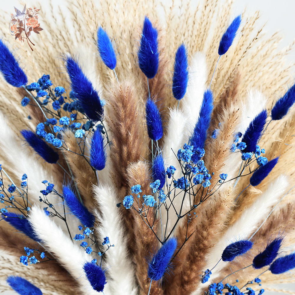70 Stem Blue Fluffly Rabbit Ta - đánh giá và giá Pampas Grass Decor