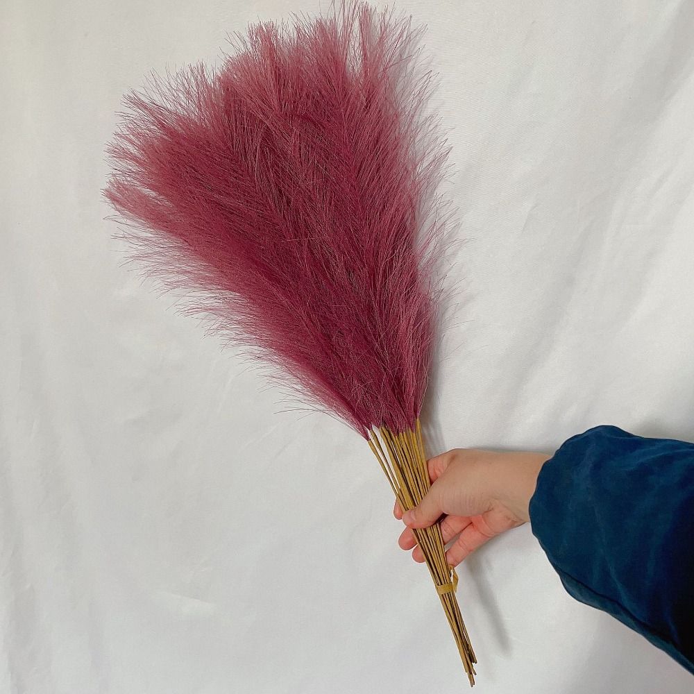 10PCS/Set Home Decor Fluffy Pa - đánh giá và giá Pampas Grass Decor