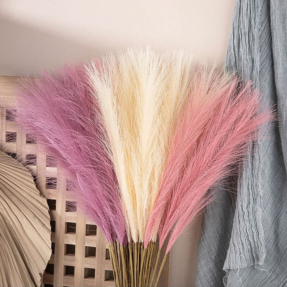 10PCS/Set Home Decor Fluffy Pa - đánh giá và giá Pampas Grass Decor