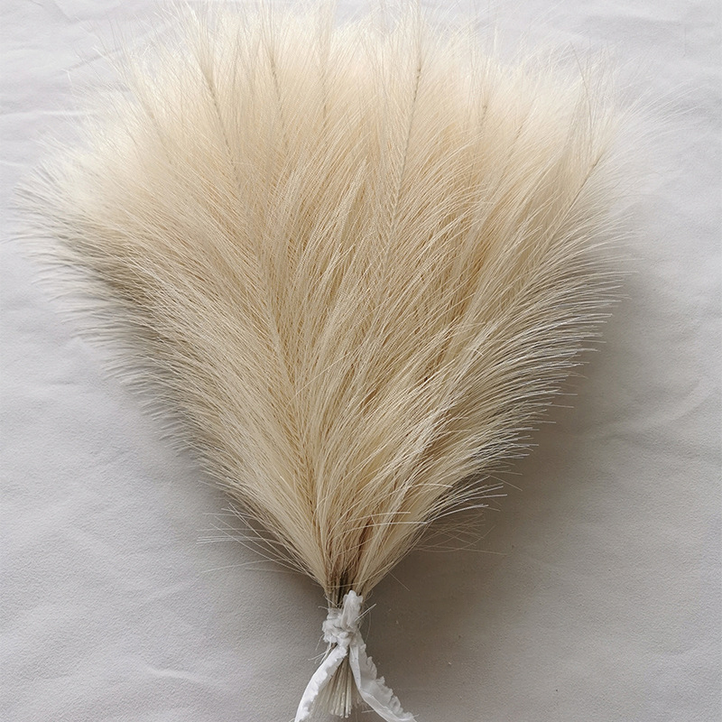 10/20 Chiếc Mô Phỏng Reed Lông - đánh giá và giá Pampas Grass Decor