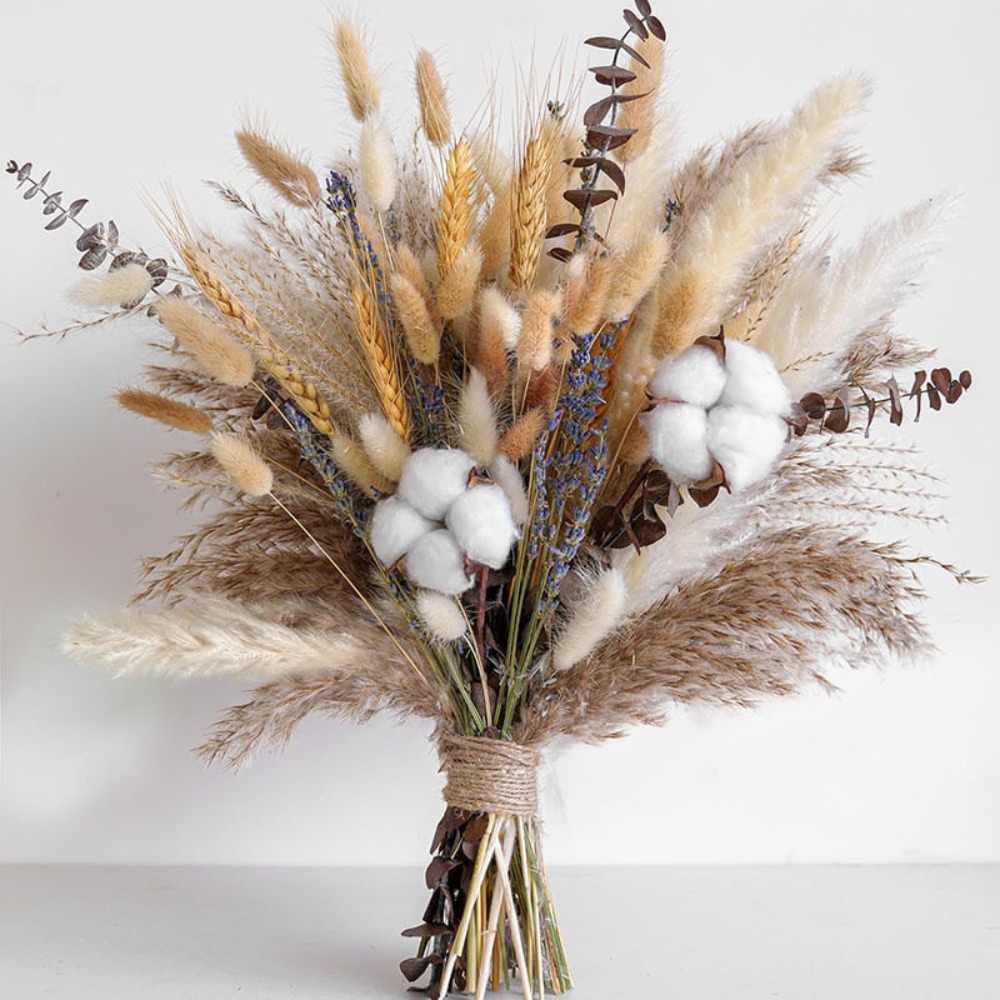 80Pieces Natural Dried Flowers - đánh giá và giá Pampas Grass Decor