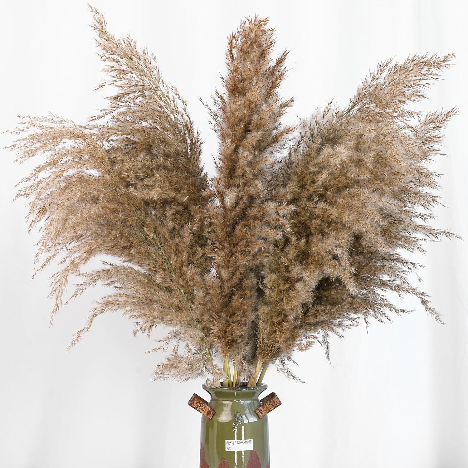 30PCS White Pampas Grass for H - đánh giá và giá Pampas Grass Decor