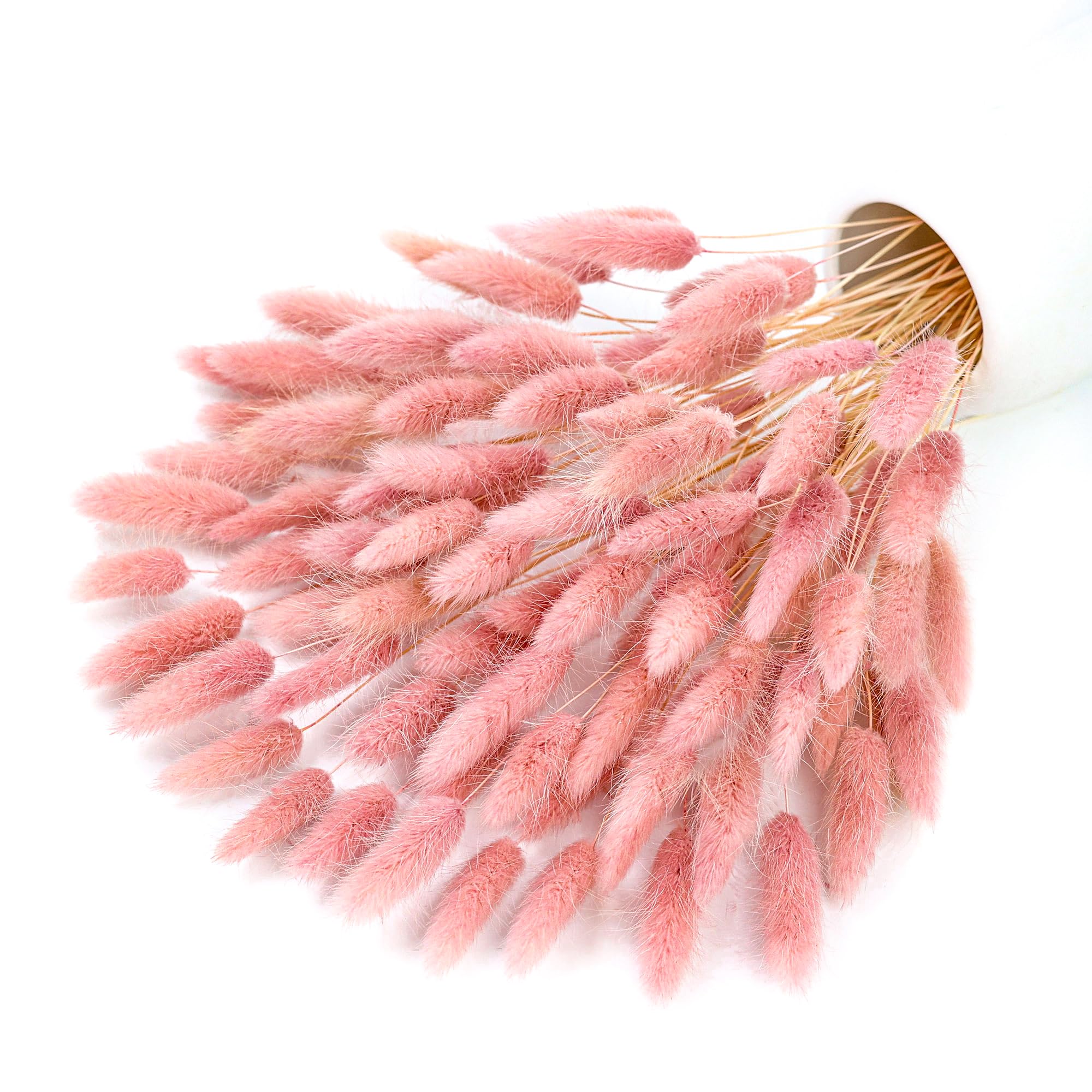120 Stem Pink Dried Pampas Bun - đánh giá và giá Pampas Grass Decor