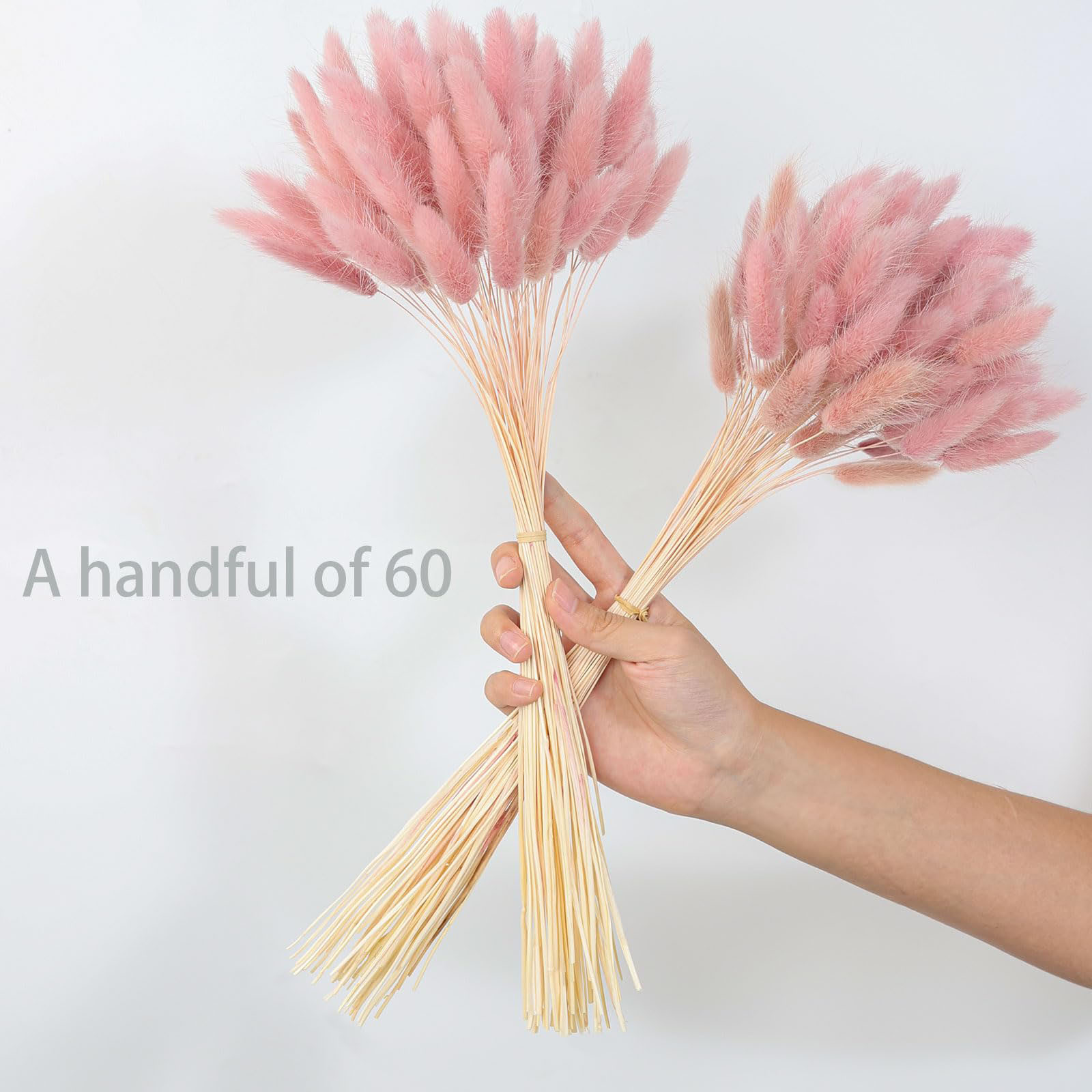 120 Stem Pink Dried Pampas Bun - đánh giá và giá Pampas Grass Decor