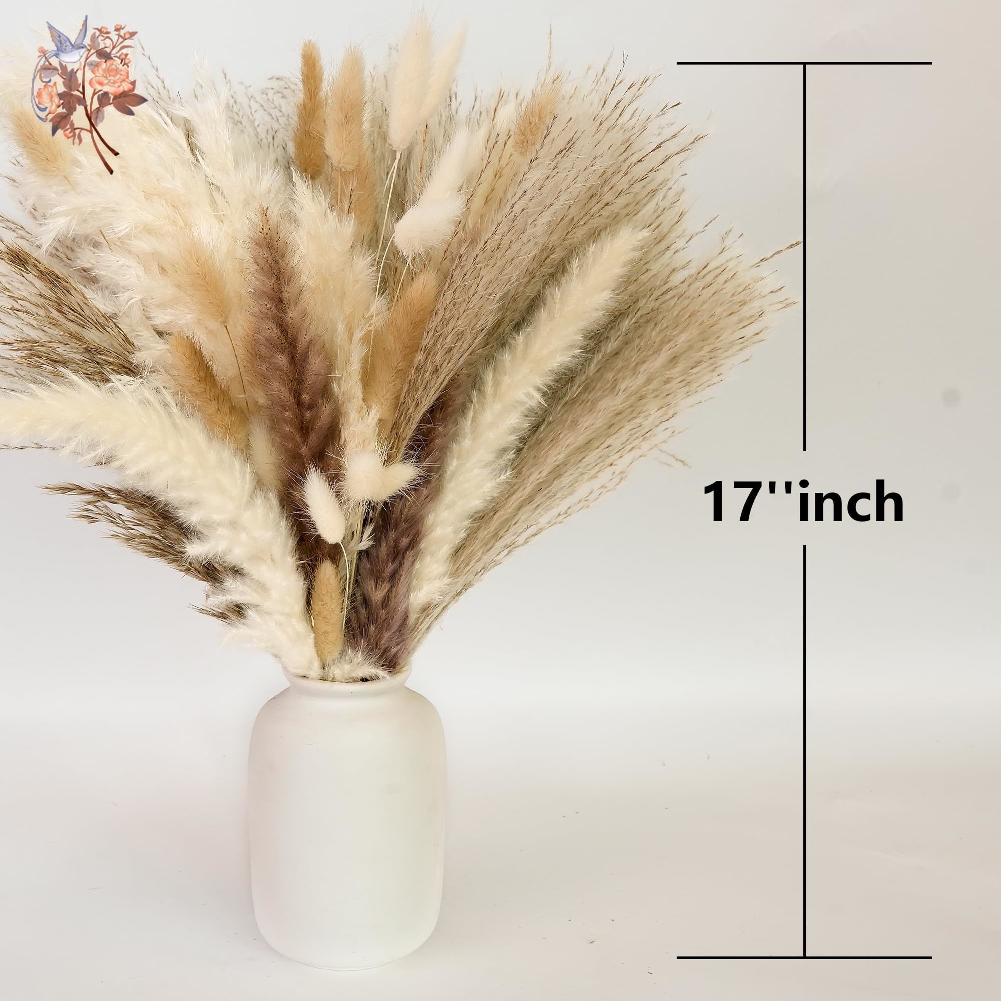 300Pcs Natural Large Pampas Gr - đánh giá và giá Pampas Grass Decor