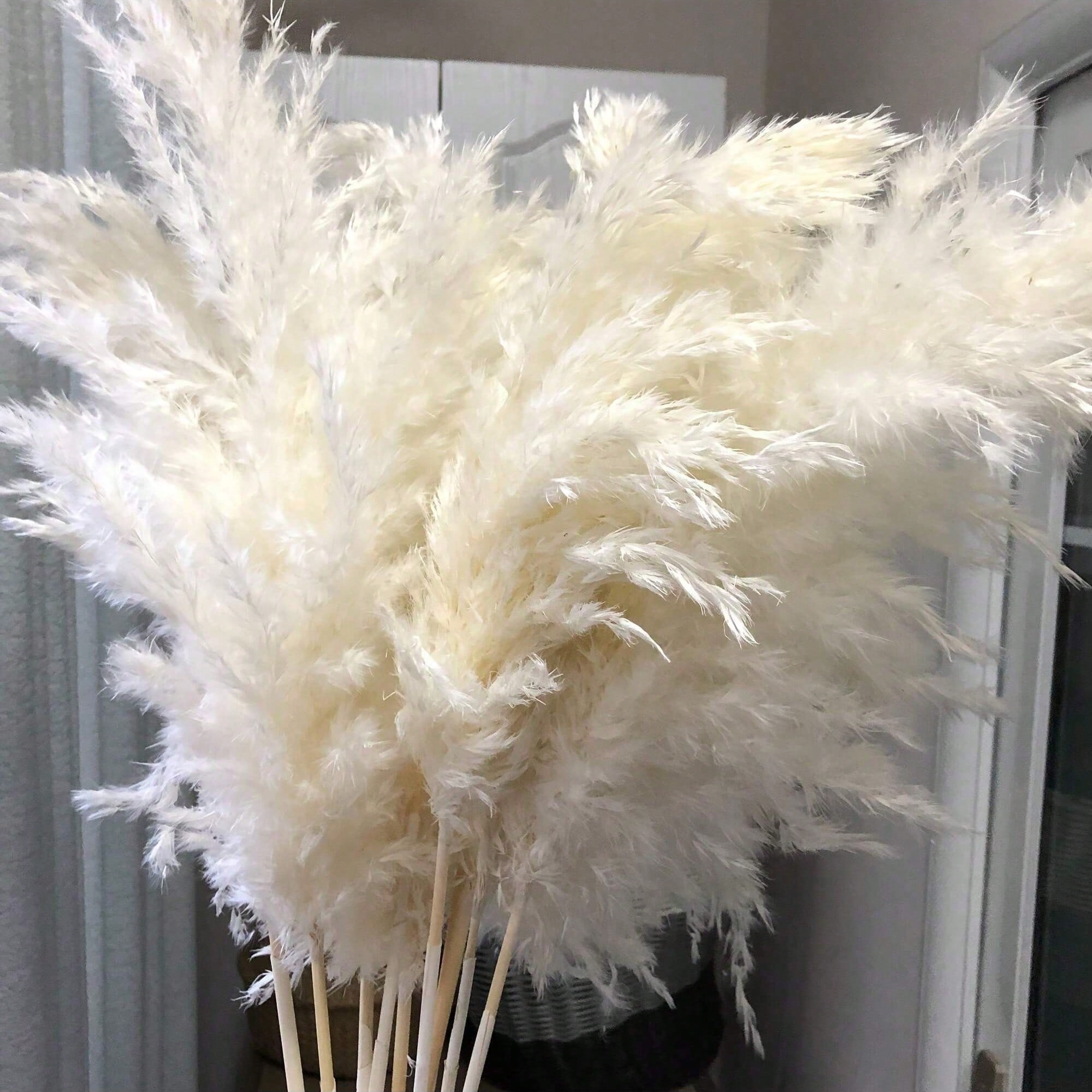 10/20/30pcs White Artificial P - đánh giá và giá Pampas Grass Decor