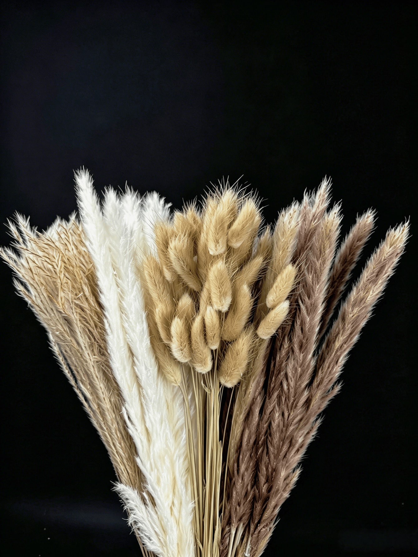 10/20/30pcs White Artificial P - đánh giá và giá Pampas Grass Decor