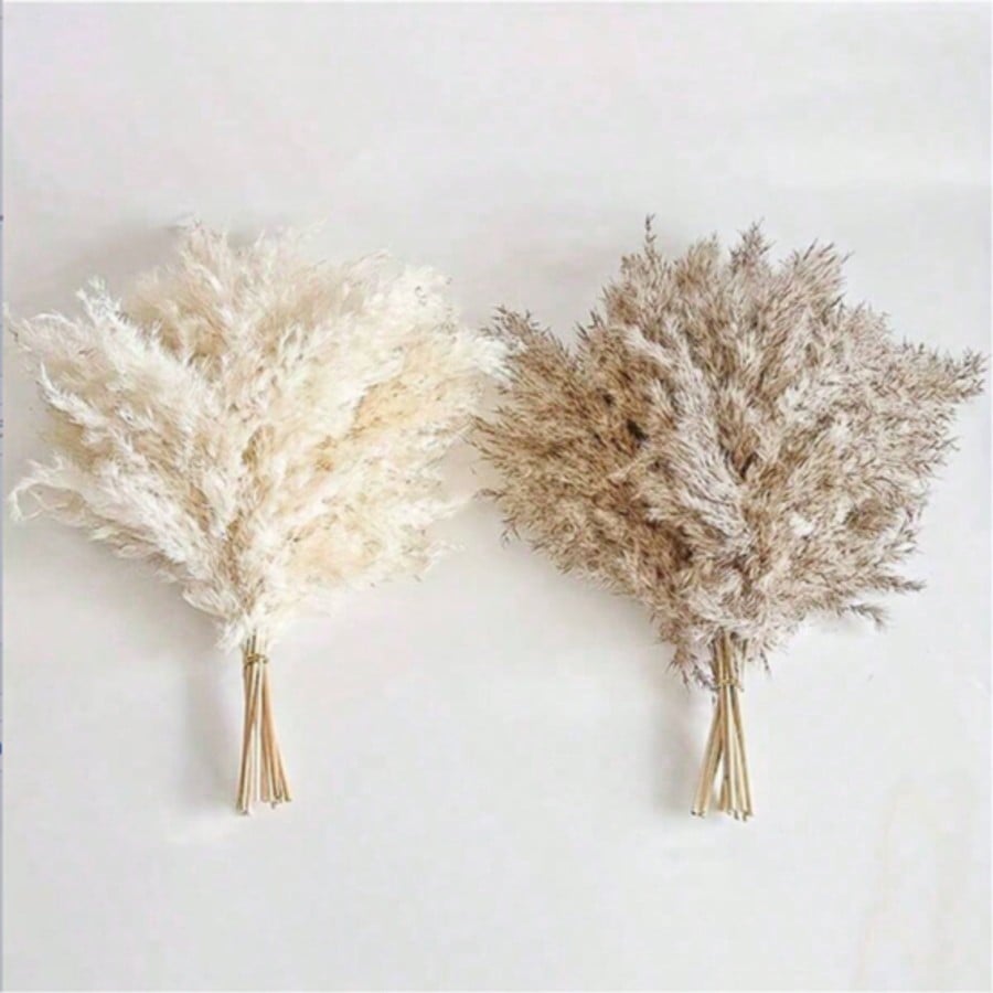10/20/30pcs White Artificial P - đánh giá và giá Pampas Grass Decor