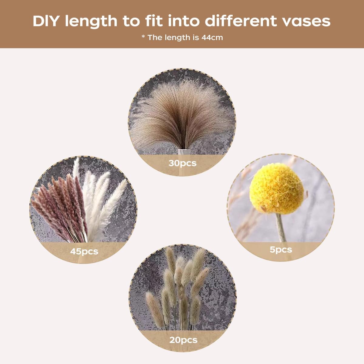 Dried Pampas Grass Bouquet Nat - đánh giá và giá Pampas Grass Decor