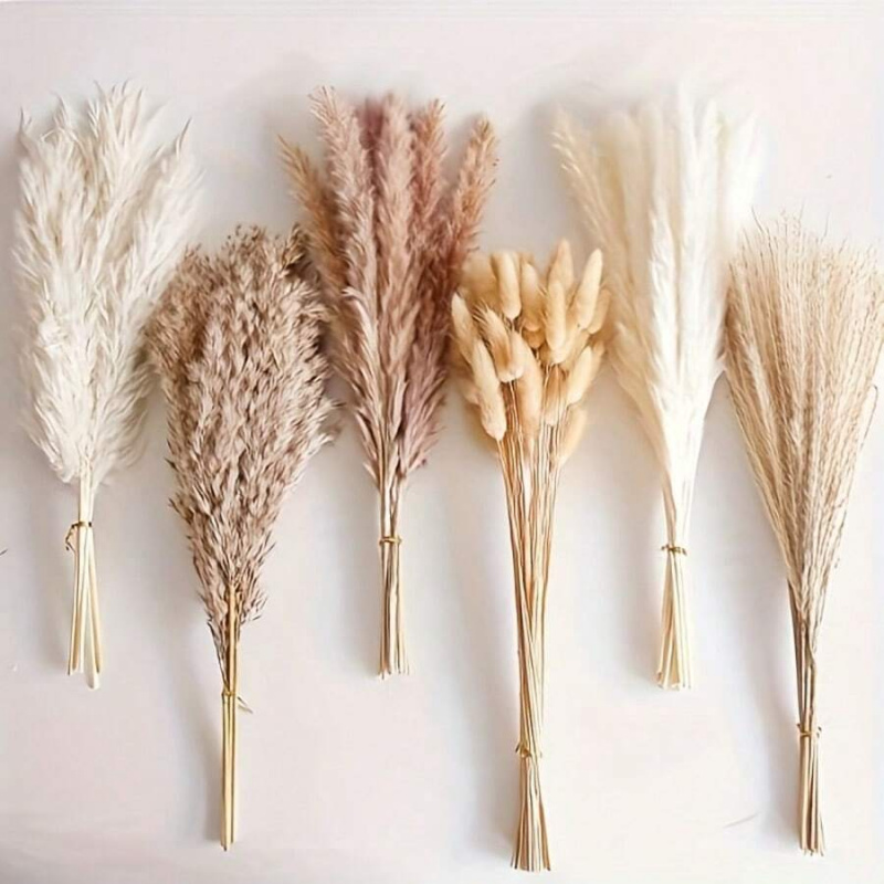 110pcs Dried Pampas Grass Bouq - đánh giá và giá Pampas Grass Decor