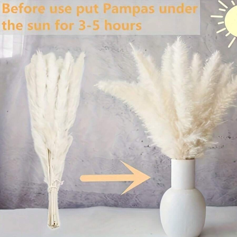 110pcs Dried Pampas Grass Bouq - đánh giá và giá Pampas Grass Decor