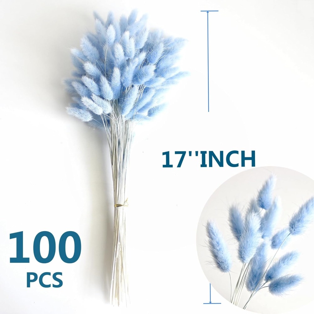 100PCS Blue Hare's-tail Grass  - đánh giá và giá Pampas Grass Decor