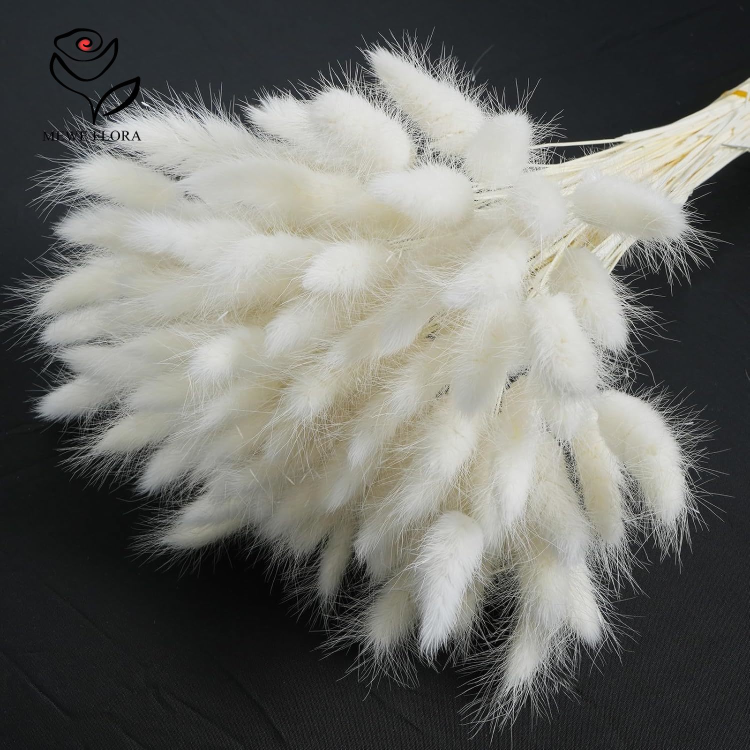150PCS White Natural Fluffy Ra - đánh giá và giá Pampas Grass Decor