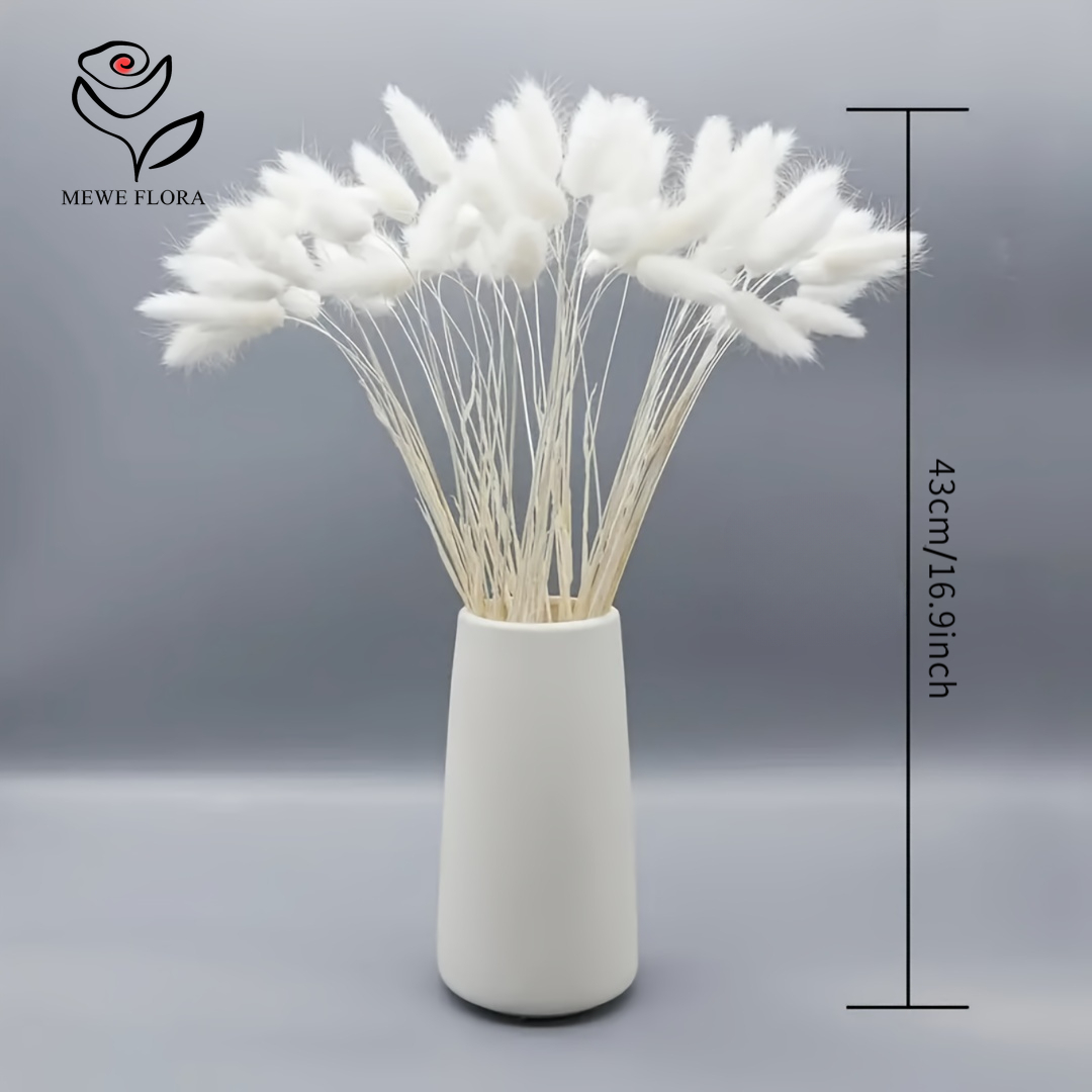 150PCS White Natural Fluffy Ra - đánh giá và giá Pampas Grass Decor